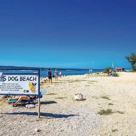 Apartament 1 Bedroom Gorgeous In *